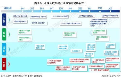 2024年中國合成生物產業全景圖譜 規模躍升、區域集聚與技術突破