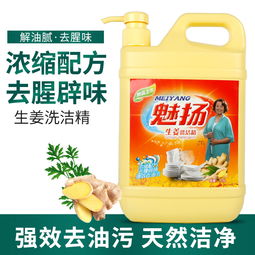大桶洗潔精家庭裝 冷水去油，安全潔凈，批發更實惠